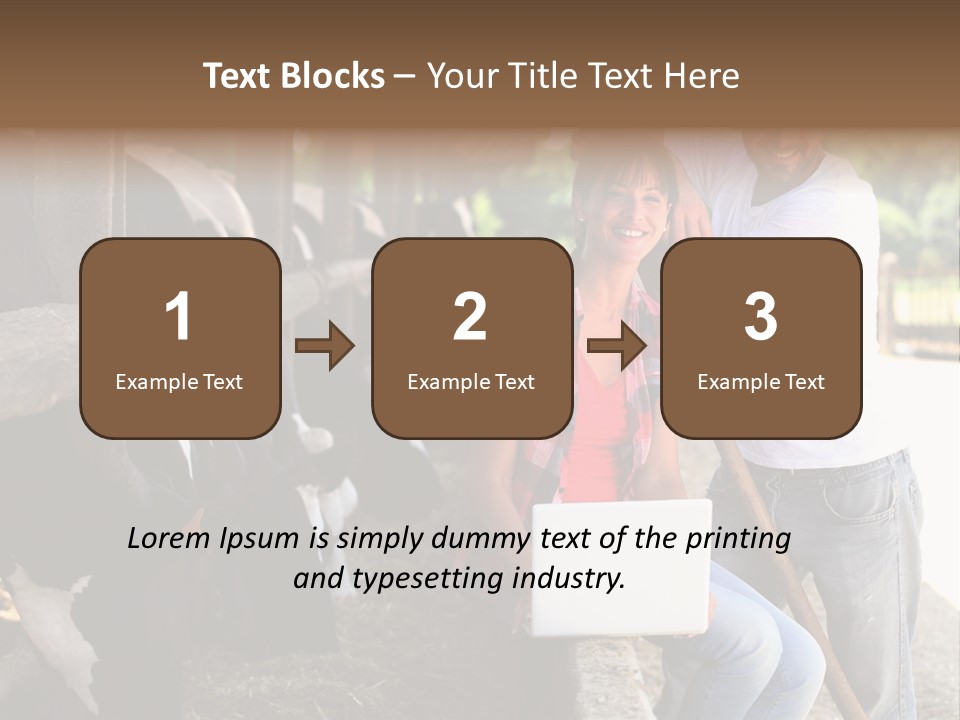 Couple Cattle Saw Dust PowerPoint Template