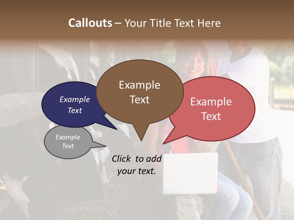 Couple Cattle Saw Dust PowerPoint Template