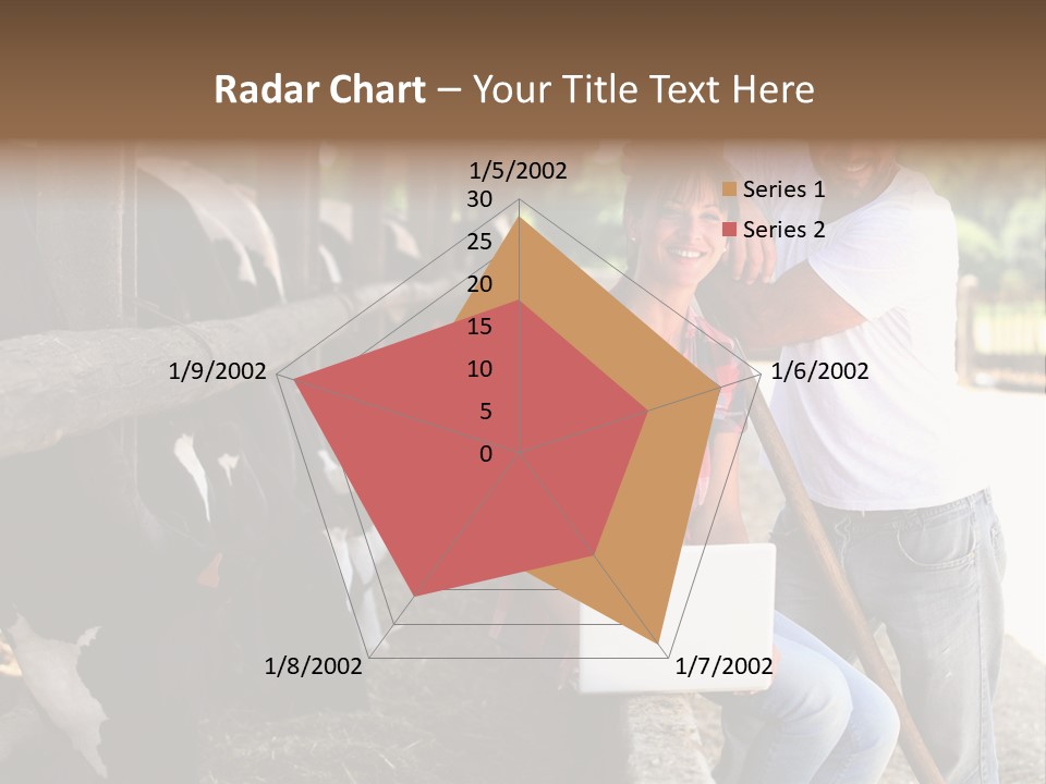 Couple Cattle Saw Dust PowerPoint Template