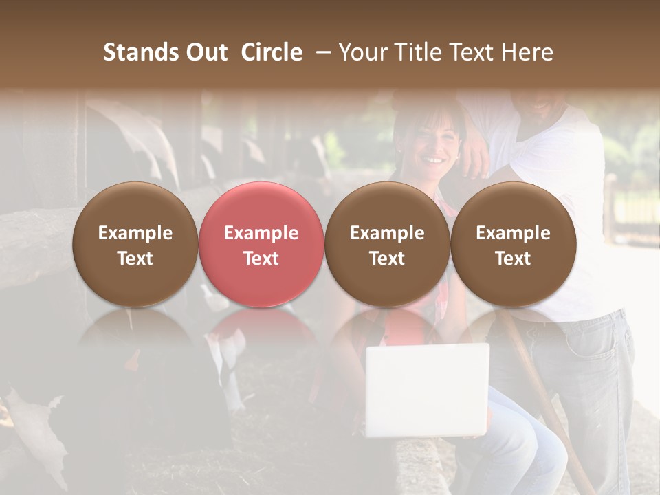 Couple Cattle Saw Dust PowerPoint Template