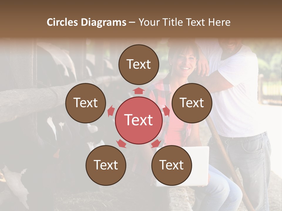 Couple Cattle Saw Dust PowerPoint Template