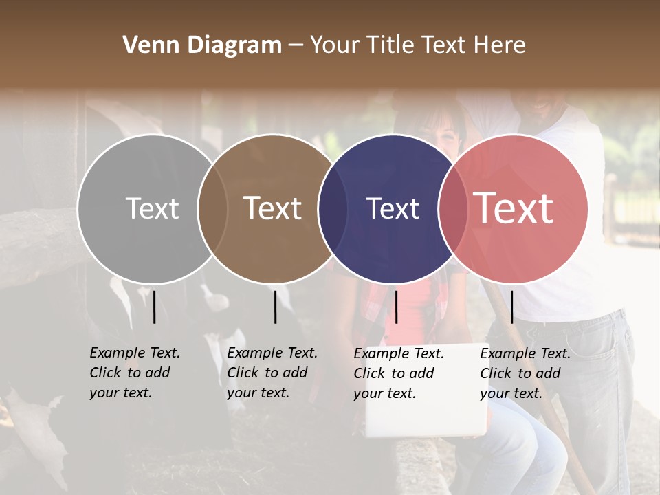 Couple Cattle Saw Dust PowerPoint Template
