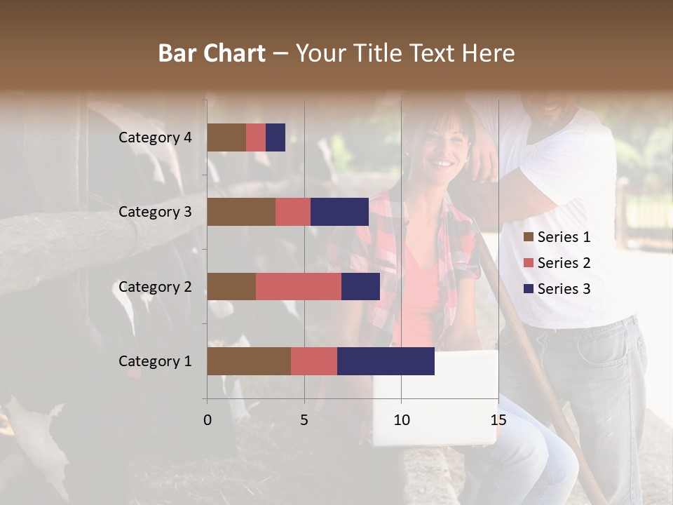 Couple Cattle Saw Dust PowerPoint Template