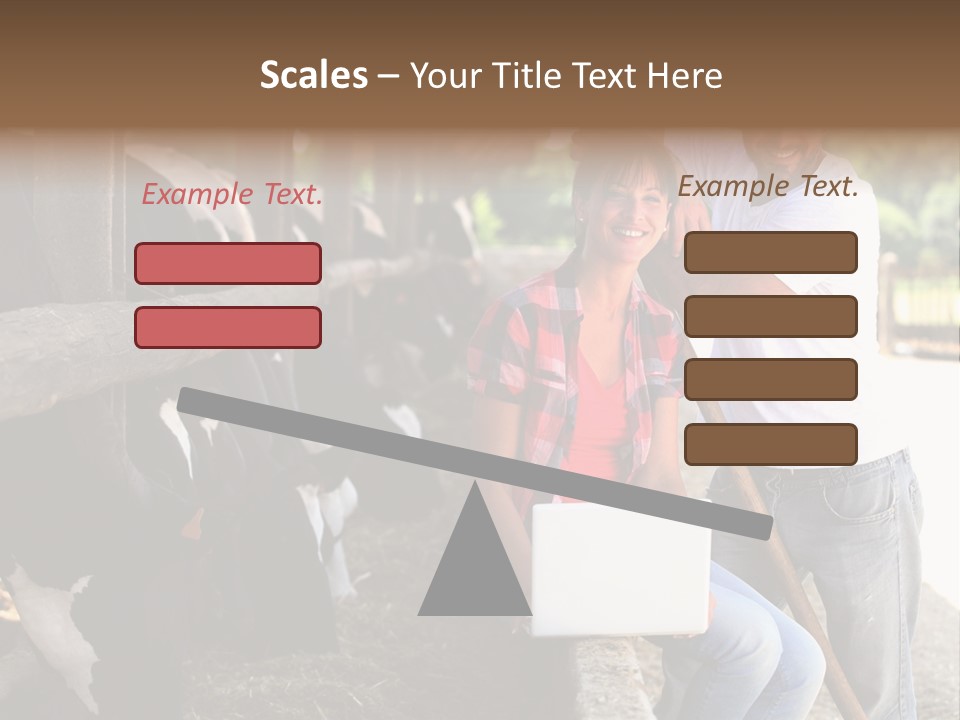 Couple Cattle Saw Dust PowerPoint Template