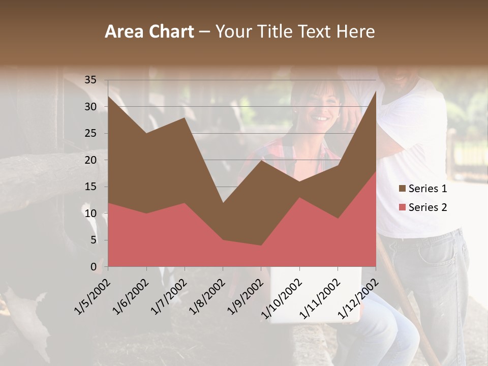 Couple Cattle Saw Dust PowerPoint Template