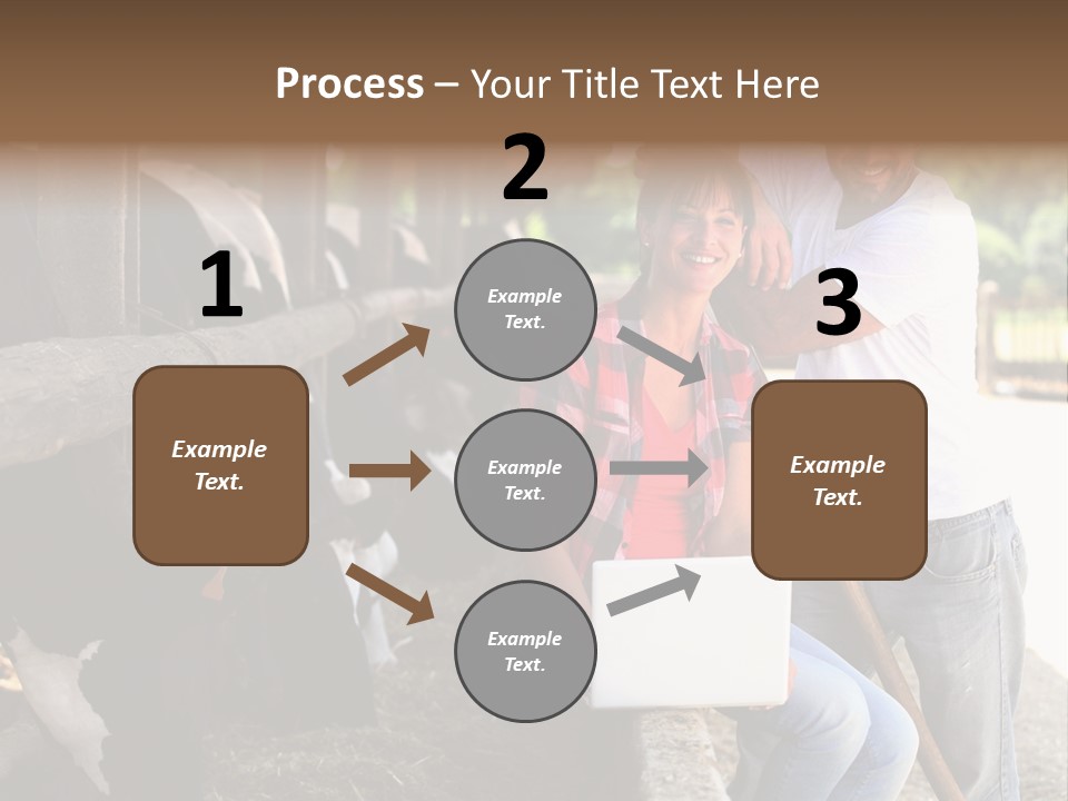 Couple Cattle Saw Dust PowerPoint Template