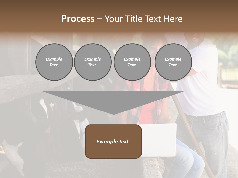 Couple Cattle Saw Dust PowerPoint Template