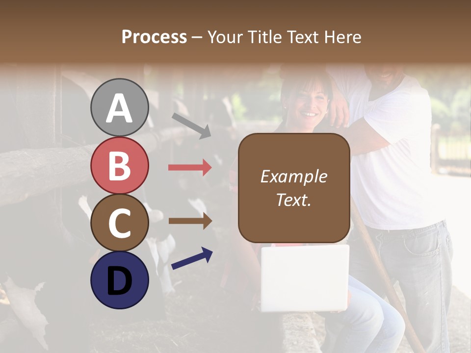 Couple Cattle Saw Dust PowerPoint Template