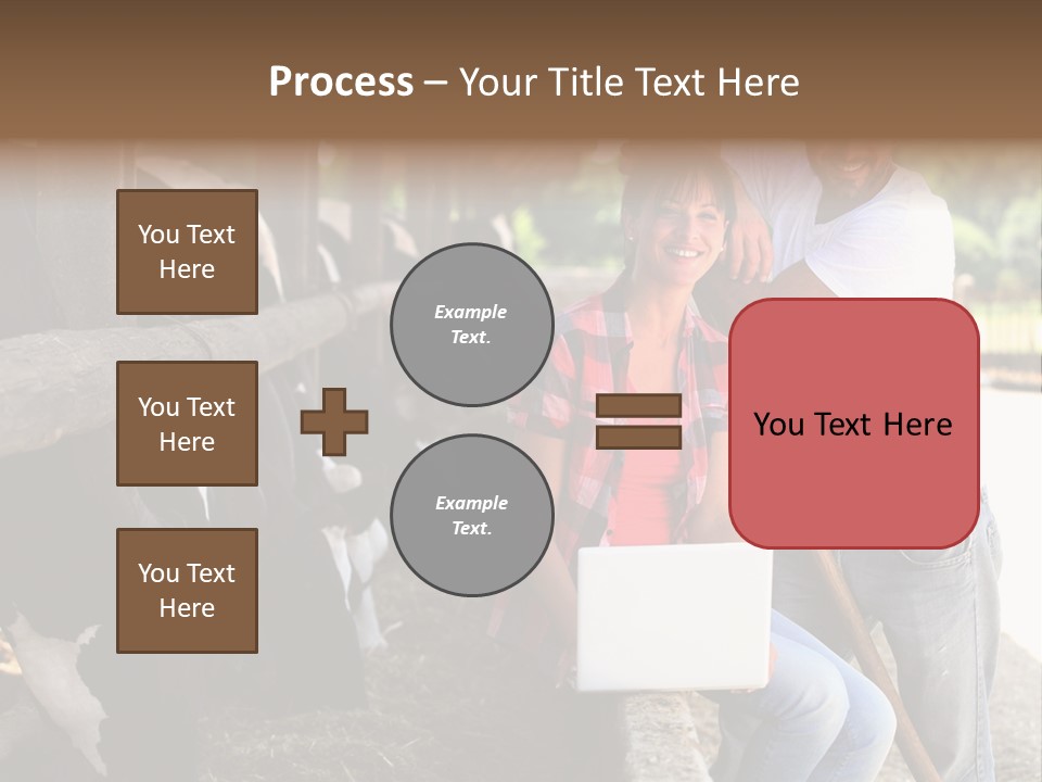 Couple Cattle Saw Dust PowerPoint Template