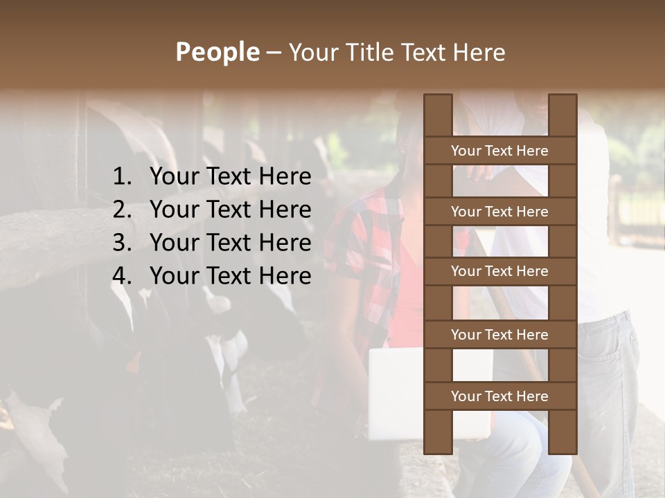 Couple Cattle Saw Dust PowerPoint Template