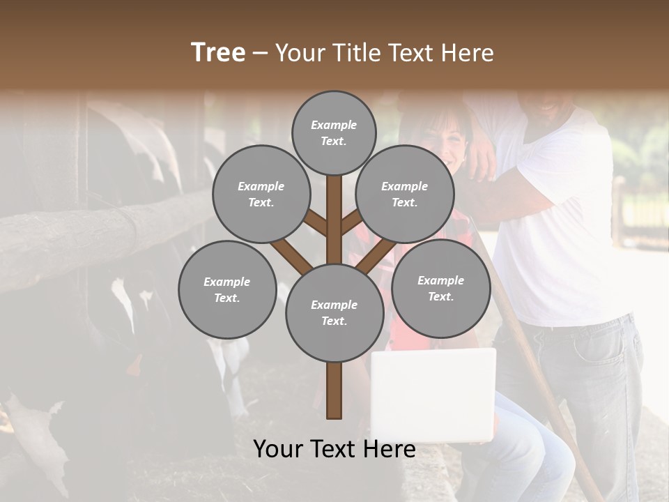 Couple Cattle Saw Dust PowerPoint Template