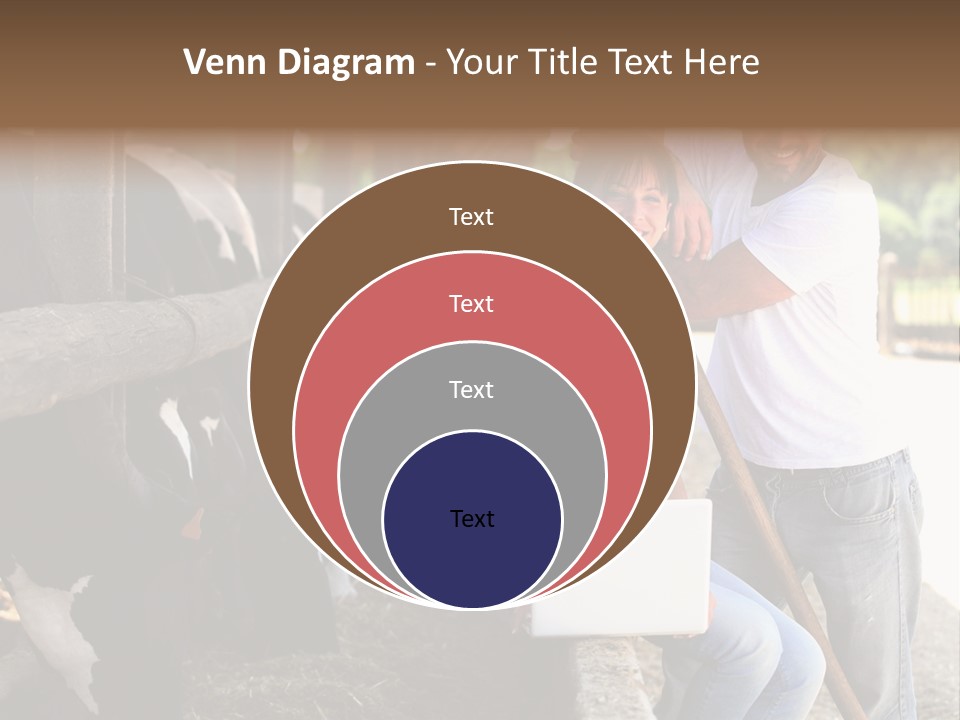 Couple Cattle Saw Dust PowerPoint Template
