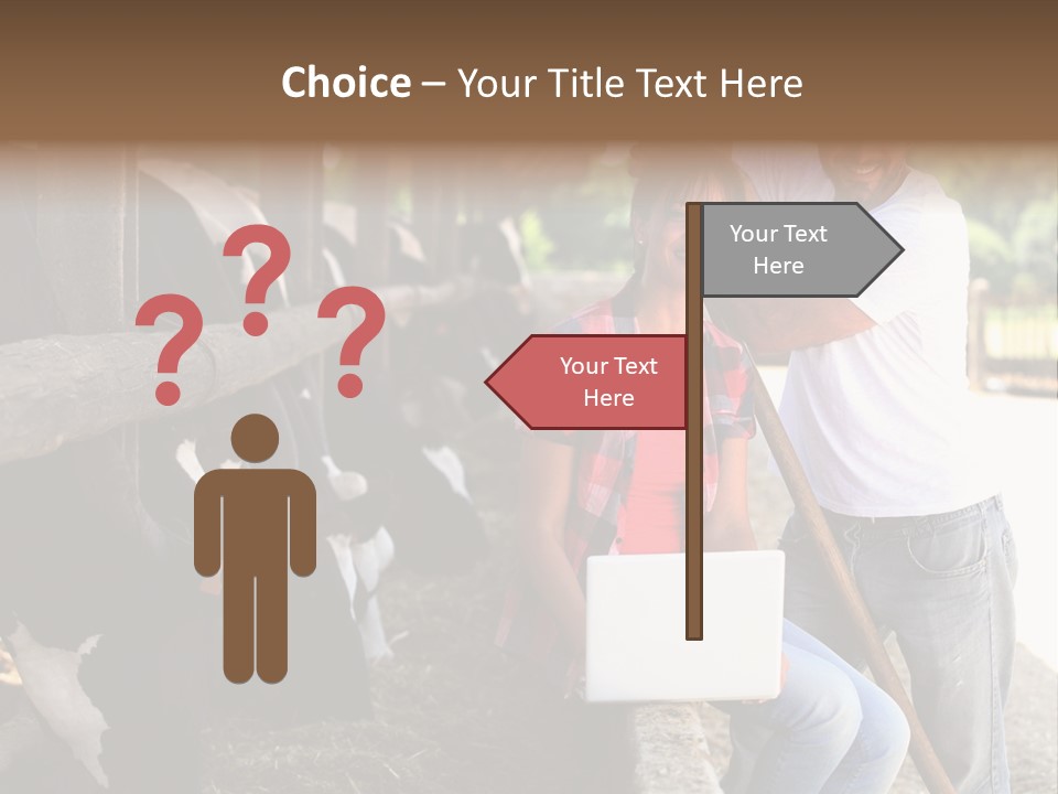 Couple Cattle Saw Dust PowerPoint Template