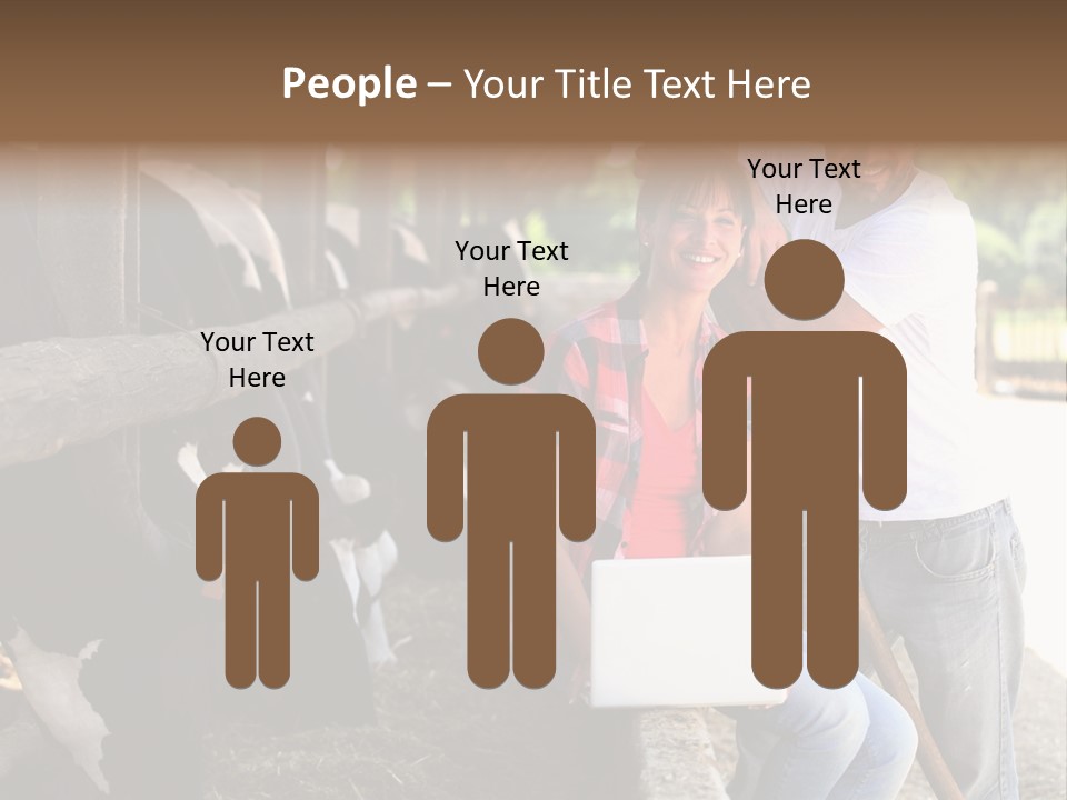 Couple Cattle Saw Dust PowerPoint Template