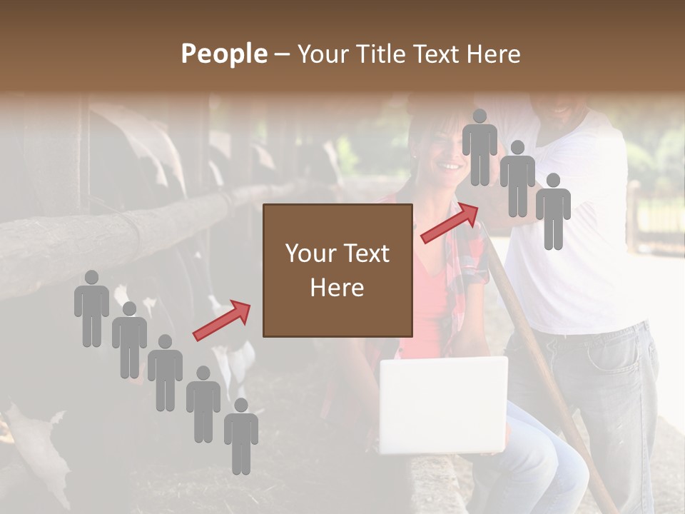 Couple Cattle Saw Dust PowerPoint Template