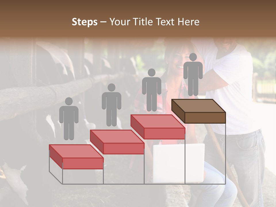 Couple Cattle Saw Dust PowerPoint Template