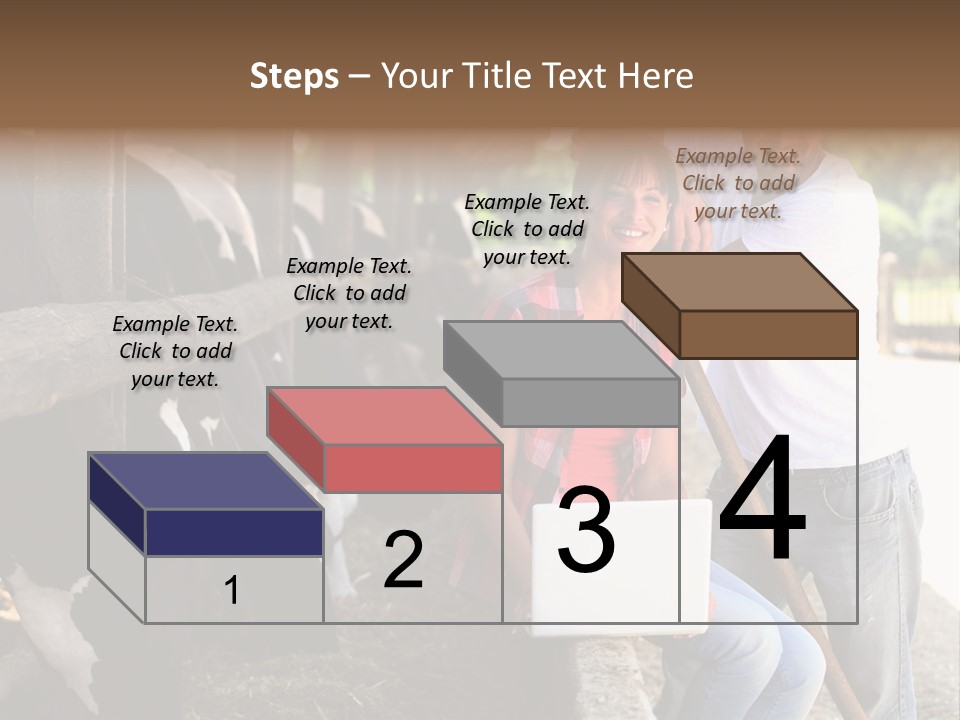 Couple Cattle Saw Dust PowerPoint Template
