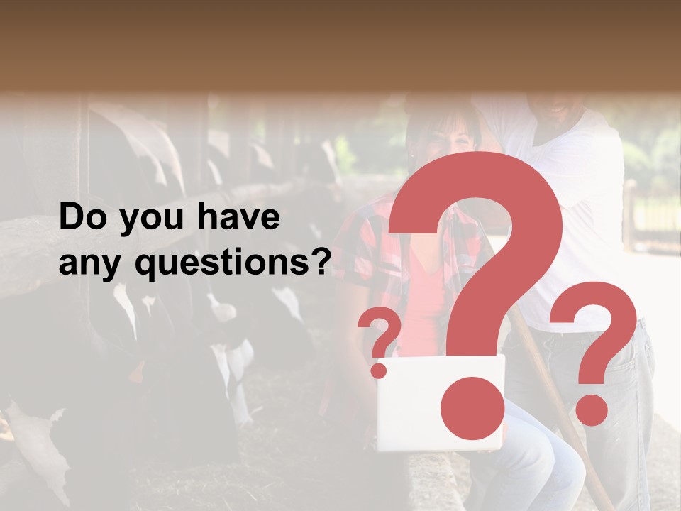 Couple Cattle Saw Dust PowerPoint Template