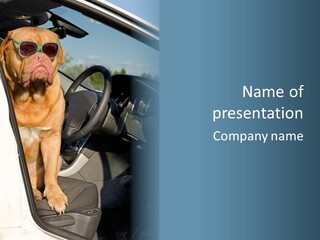 Interior Puppy Funny PowerPoint Template