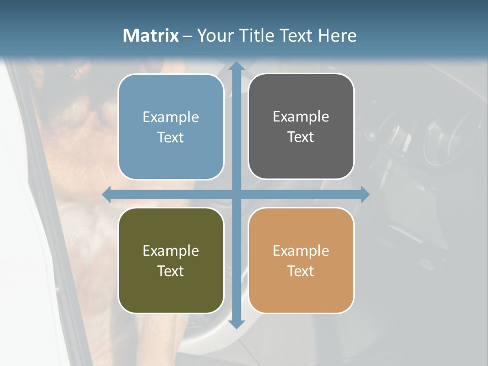 Interior Puppy Funny PowerPoint Template