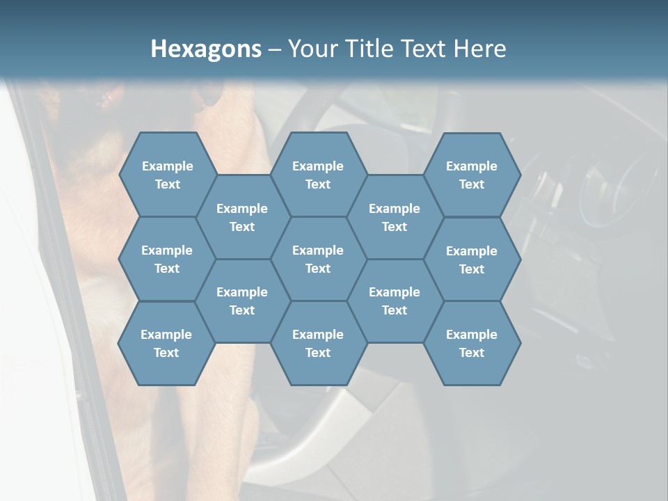 Interior Puppy Funny PowerPoint Template