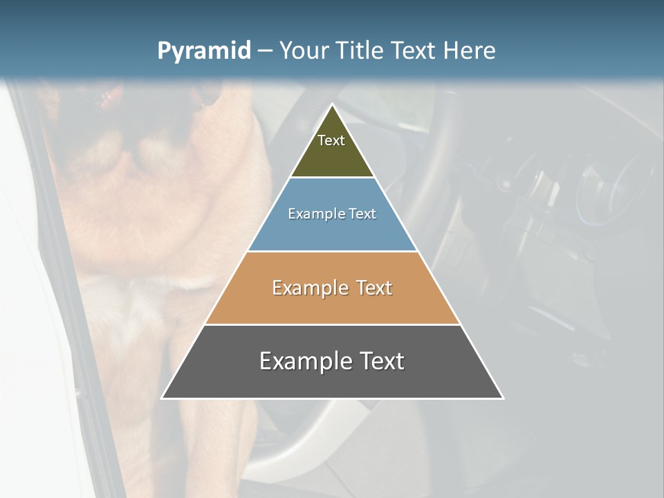 Interior Puppy Funny PowerPoint Template