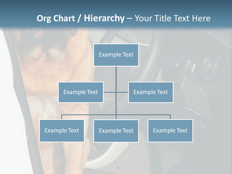 Interior Puppy Funny PowerPoint Template