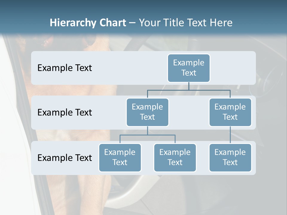 Interior Puppy Funny PowerPoint Template