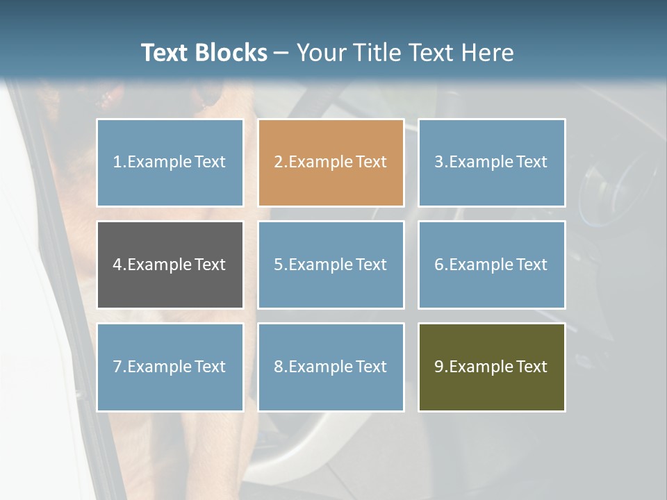 Interior Puppy Funny PowerPoint Template