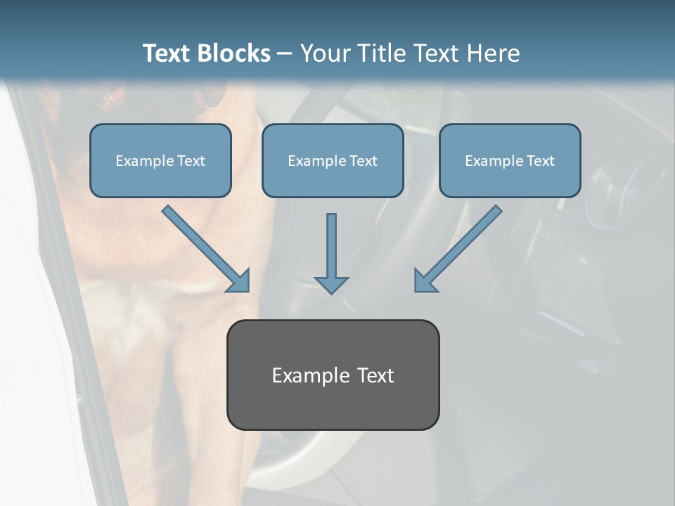 Interior Puppy Funny PowerPoint Template