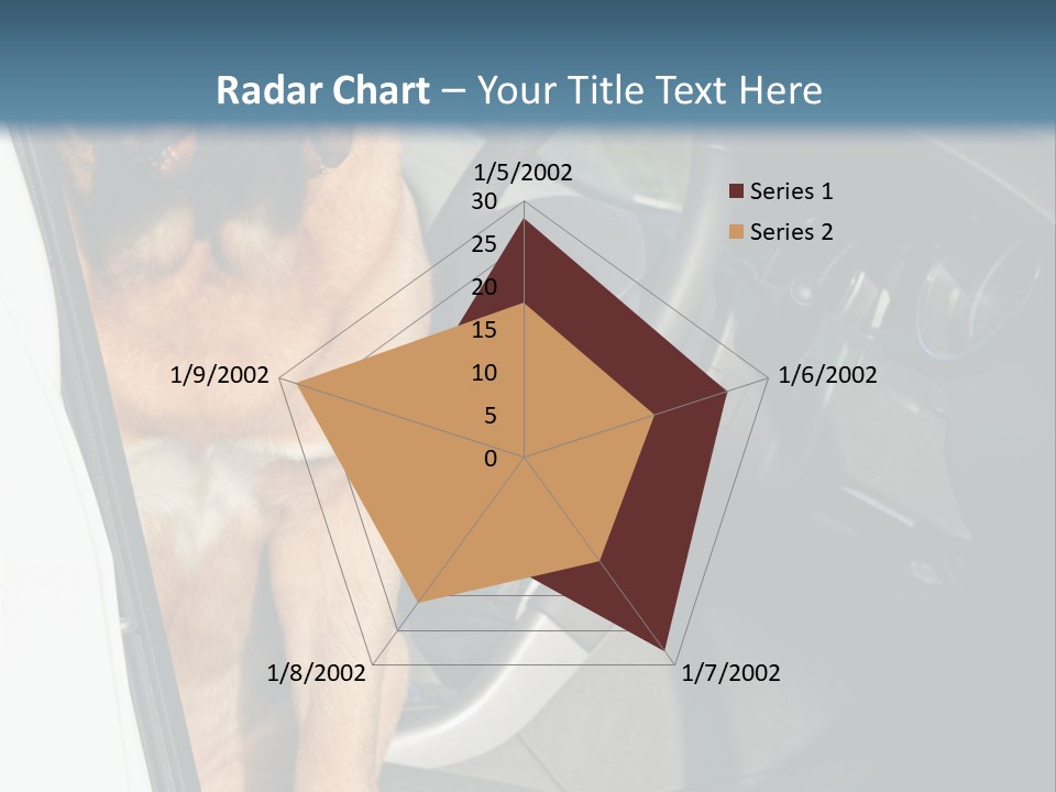 Interior Puppy Funny PowerPoint Template