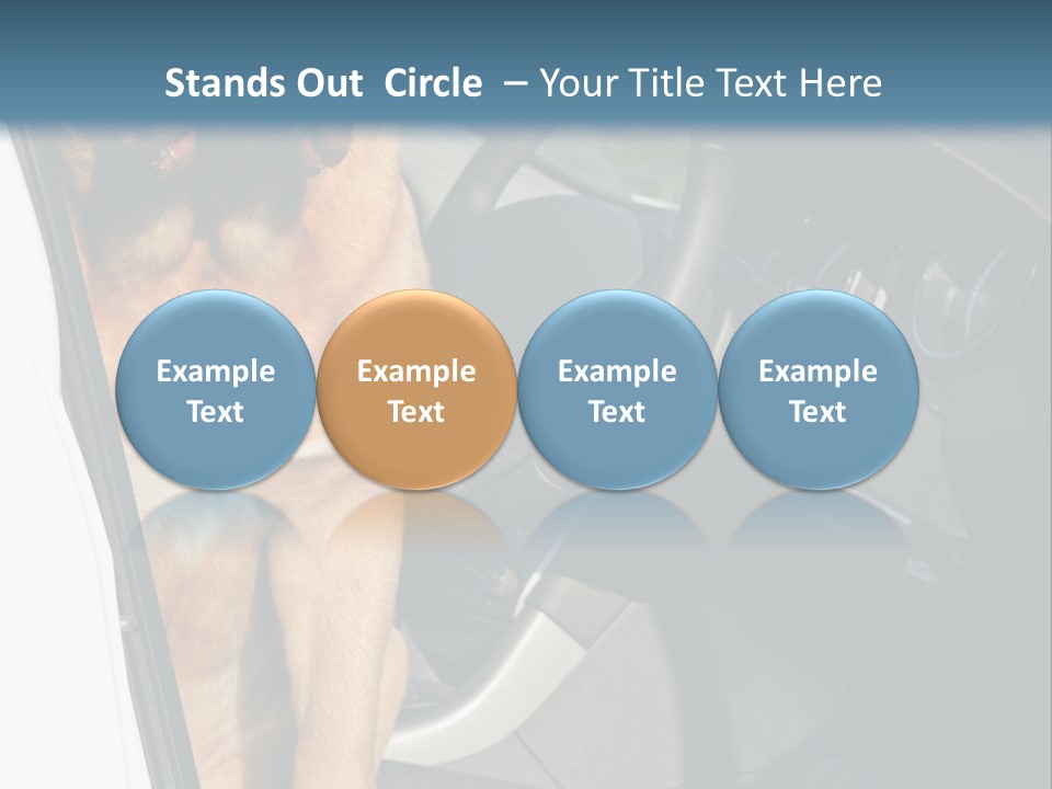 Interior Puppy Funny PowerPoint Template