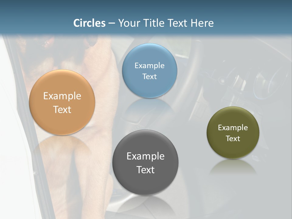 Interior Puppy Funny PowerPoint Template