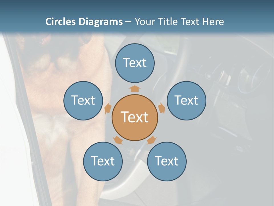 Interior Puppy Funny PowerPoint Template