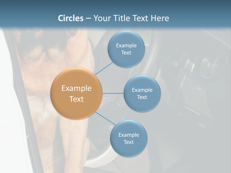 Interior Puppy Funny PowerPoint Template