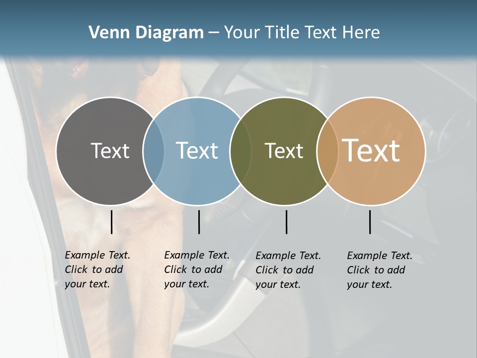 Interior Puppy Funny PowerPoint Template