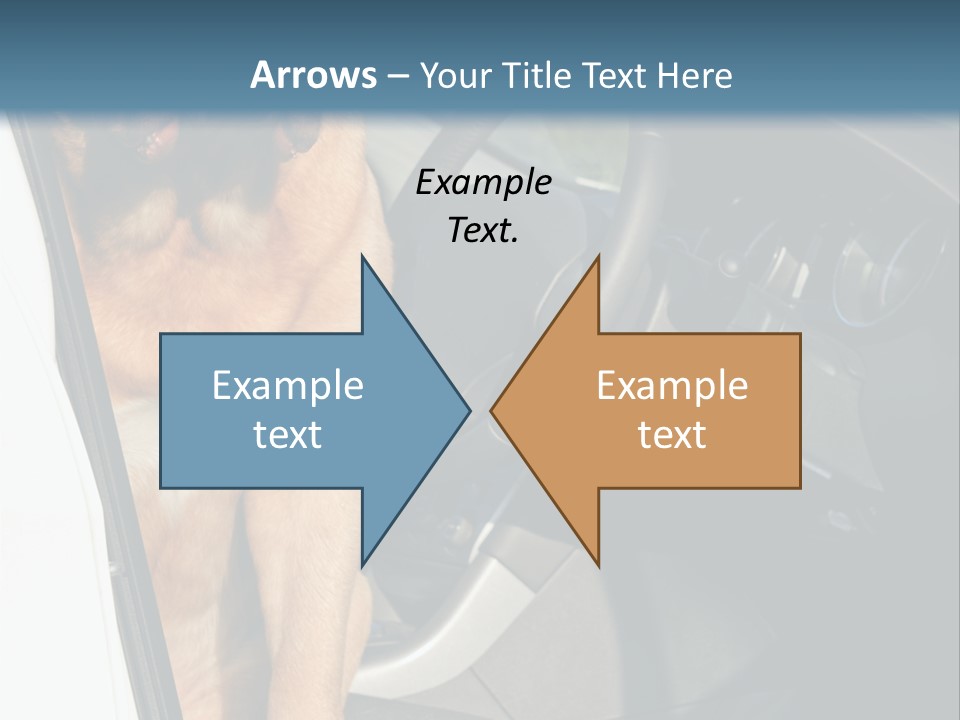 Interior Puppy Funny PowerPoint Template