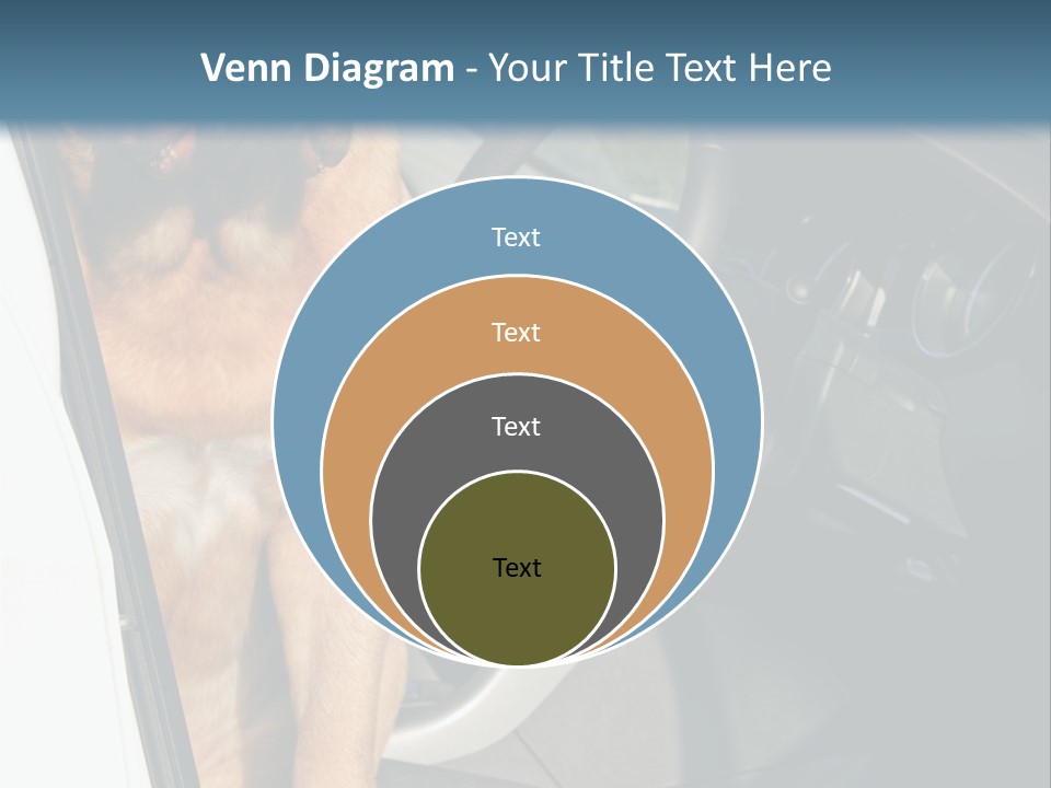 Interior Puppy Funny PowerPoint Template