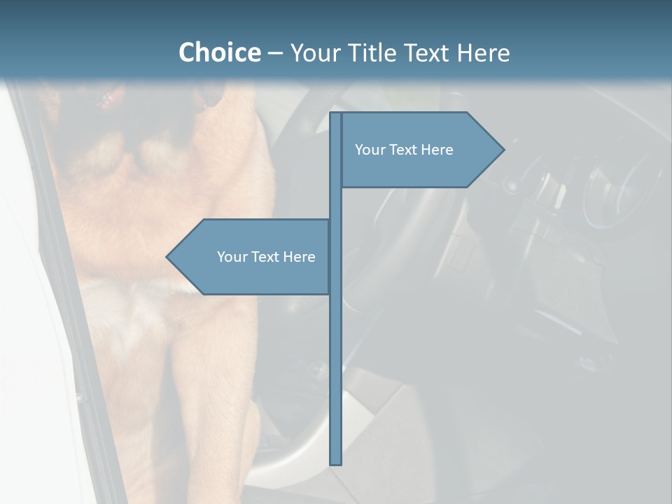 Interior Puppy Funny PowerPoint Template