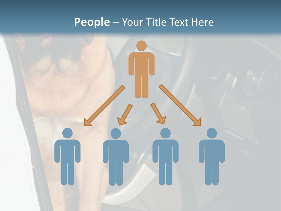 Interior Puppy Funny PowerPoint Template