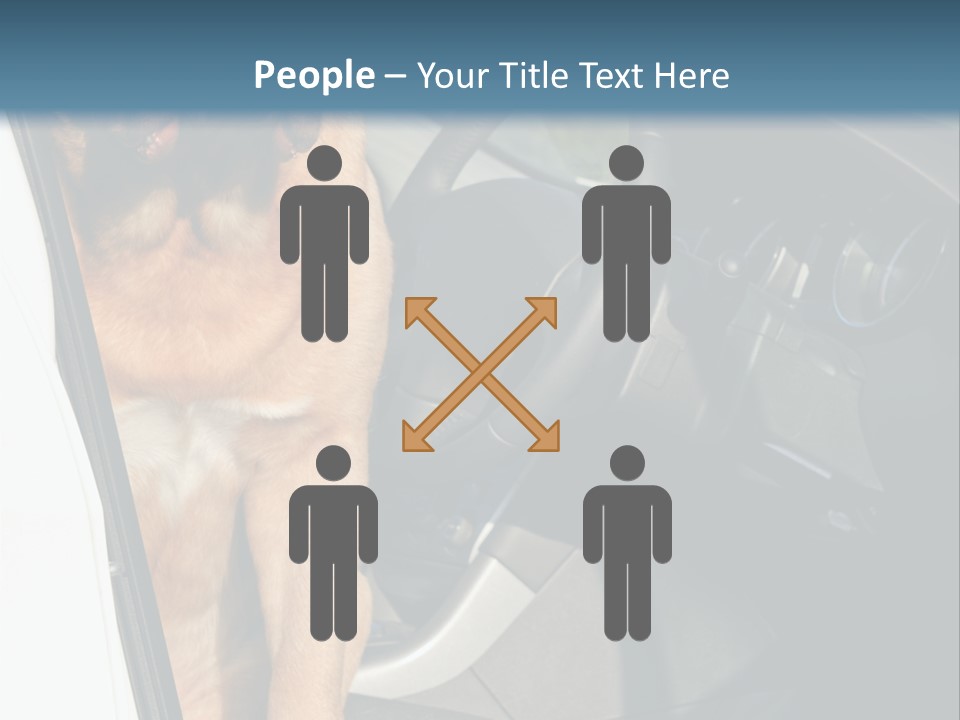 Interior Puppy Funny PowerPoint Template