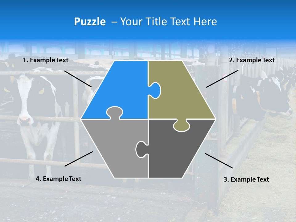 Cattle Rustic Cow PowerPoint Template