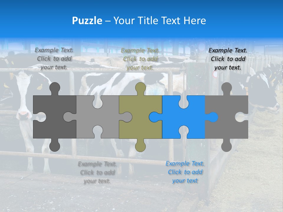 Cattle Rustic Cow PowerPoint Template