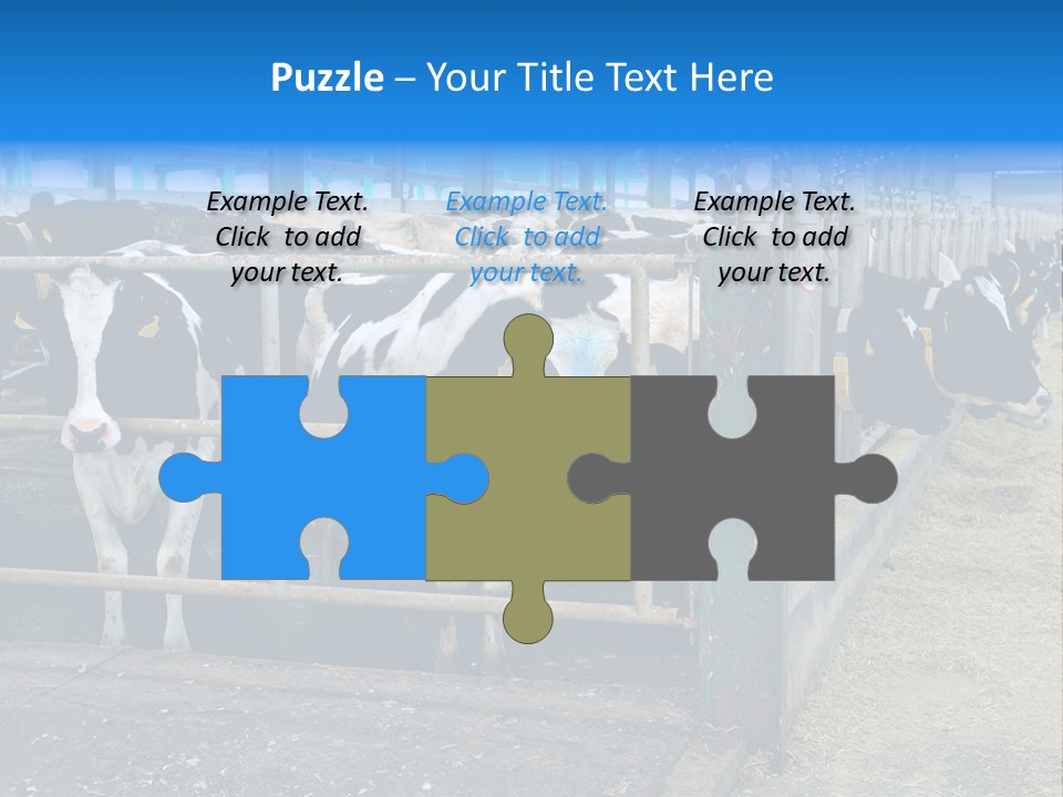 Cattle Rustic Cow PowerPoint Template