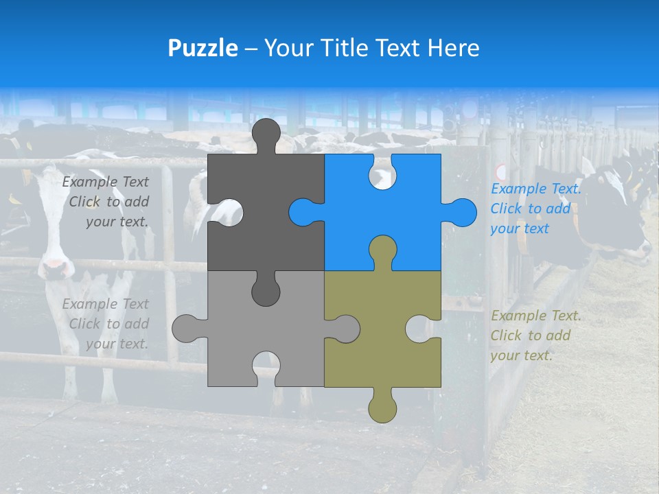 Cattle Rustic Cow PowerPoint Template