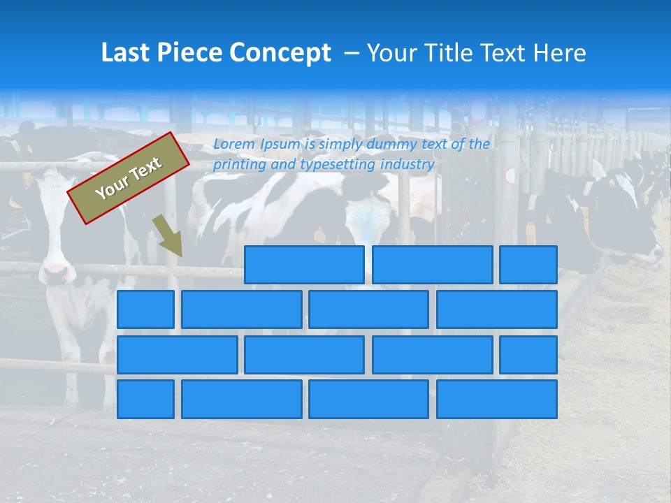 Cattle Rustic Cow PowerPoint Template