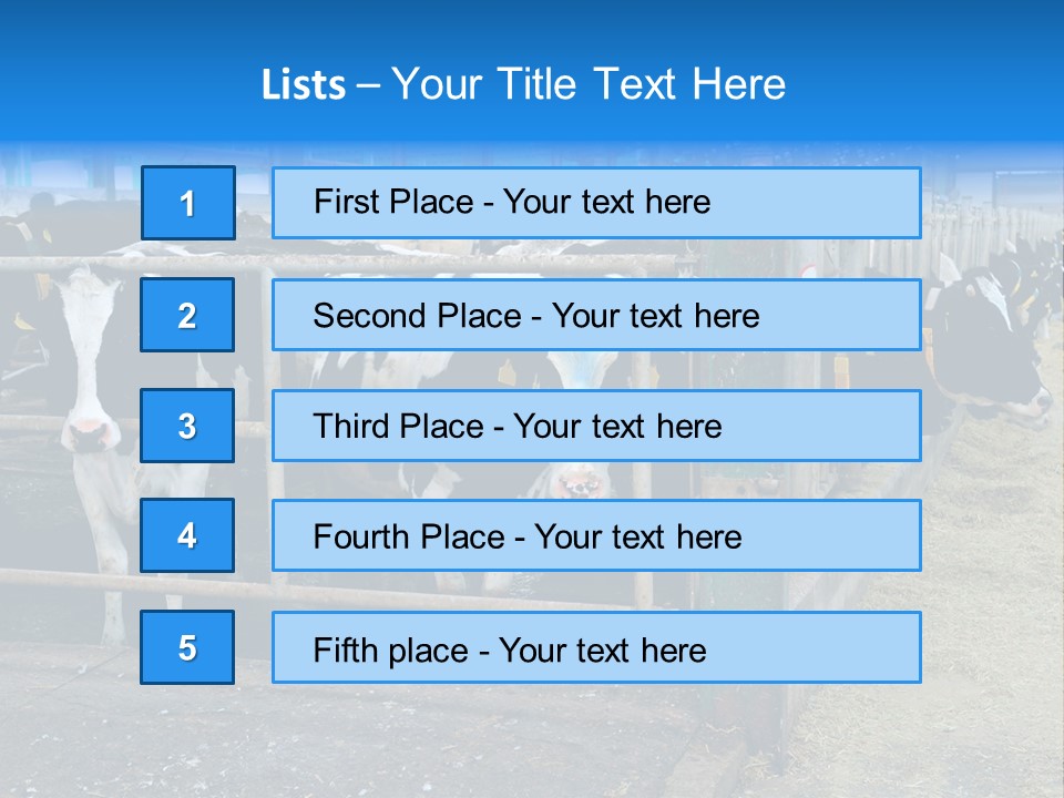 Cattle Rustic Cow PowerPoint Template