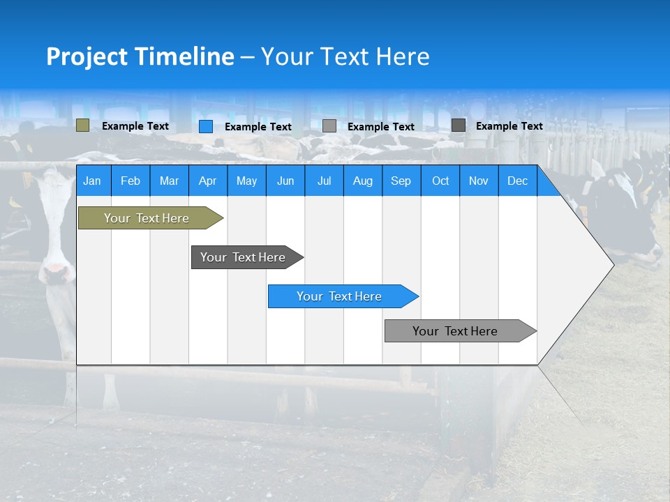 Cattle Rustic Cow PowerPoint Template