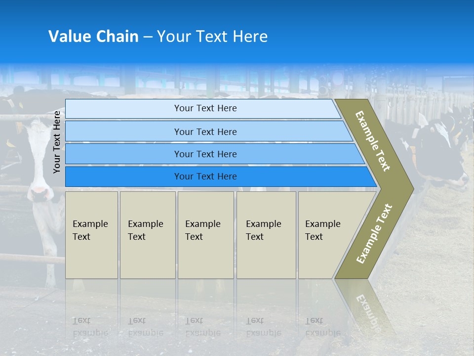 Cattle Rustic Cow PowerPoint Template