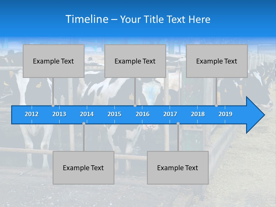 Cattle Rustic Cow PowerPoint Template
